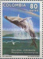 Humpback Whale (Megaptera novaeangliae)