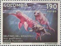 Amazon River Dolphin (Inia geoffrensis), Tucuxi (Sotalia flu
