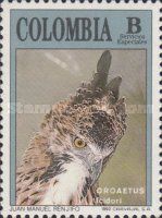 Black-and-chestnut Eagle (Oroaetus isidori)
