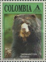 Spectacled bear (Tremarctos Ornatus)