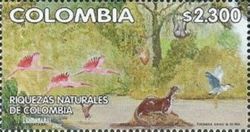 Scarlet Ibis (Eudocimus ruber), Black-crowned Night-Heron