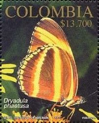 Dryadula phaetusa