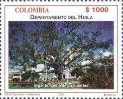 Ceiba pentandra