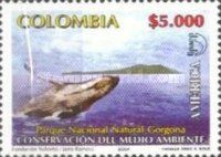 Whale, Gorgona National Park