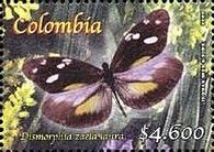 Dismorphia zaela laura