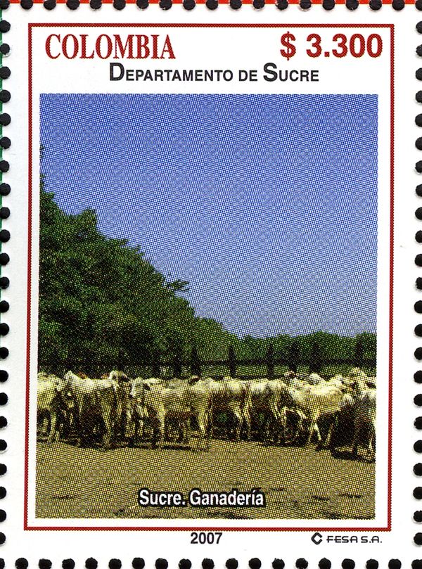 Cattle