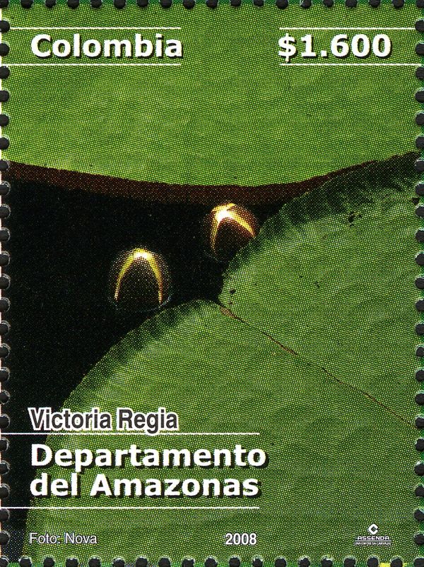 Victoria Regia