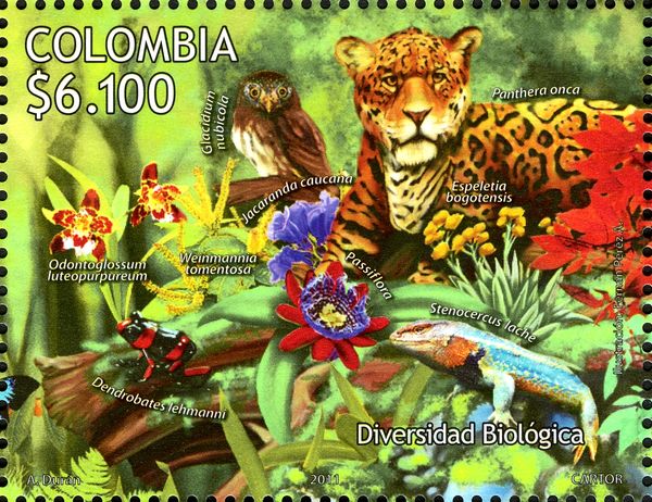 Flora Fauna