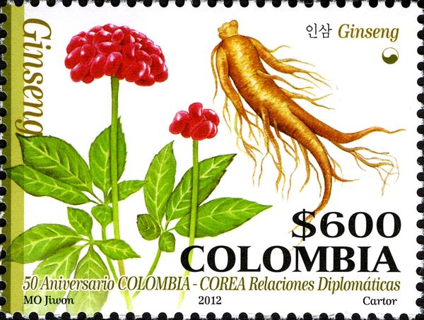 Ginseng (plant and root)