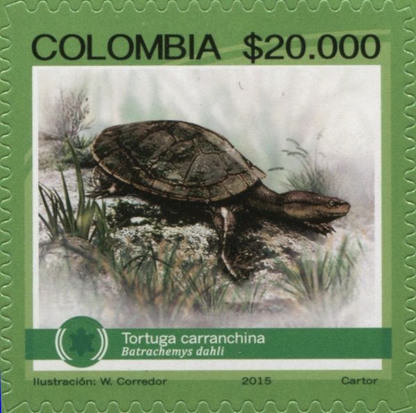 Tortuga carranchina (Batrachemys dahli)