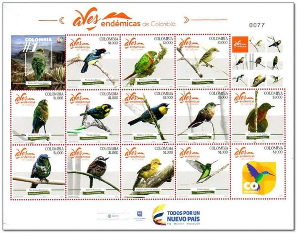 Endemic Birds of Colombia