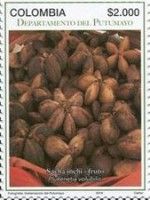 Sacha Inchi (Incan Peanuts)