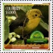 Yellow-Headed Brush Finch (Atlapetes flaviceps)