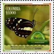 Megoleria susiana susanna