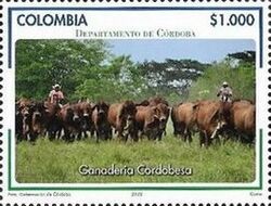 Cattle Raising