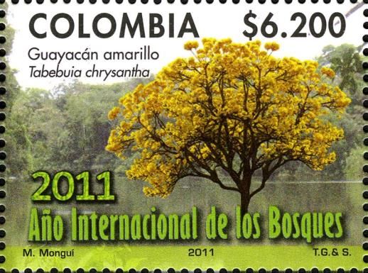International Year of Forests 2011