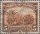 Coffee Plantation Overprinted