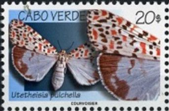 Crimson-speckled Flunkey (Utetheisa pulchella)