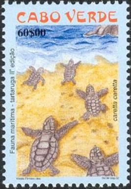Loggerhead (Caretta caretta)