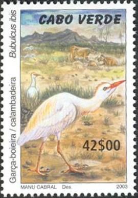 Cattle Egret (Bubulcus ibis)
