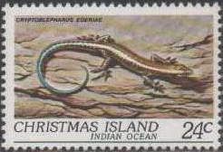 Blue-tailed Skink (Cryptoblepharus egeriae)