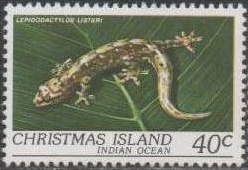 Lister's Scaly-toed Gecko (Lepidodactylus listeri)