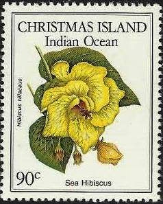 Sea Hibiscus (Hibiscus tiliaceus)