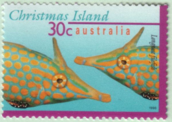 Longnose Filefish (Oxymonacanthus longirostris)