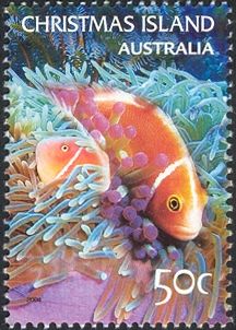 Sea Anemone and Pink Anemonefish
