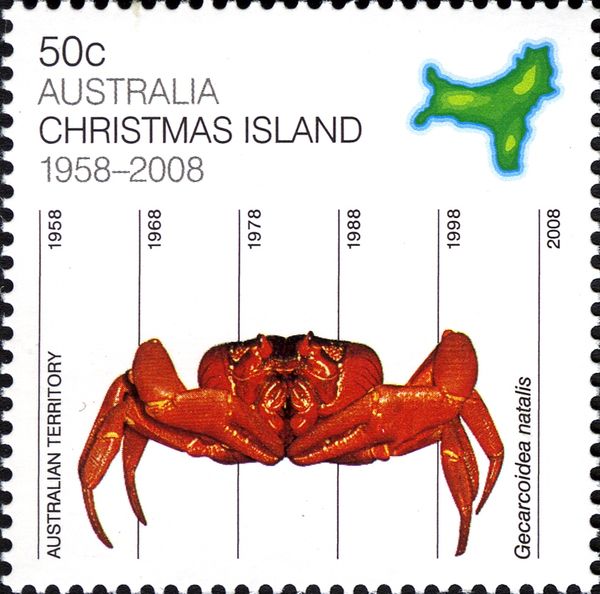 Christmas Island Red Crab (Gecarcoidea natalis)