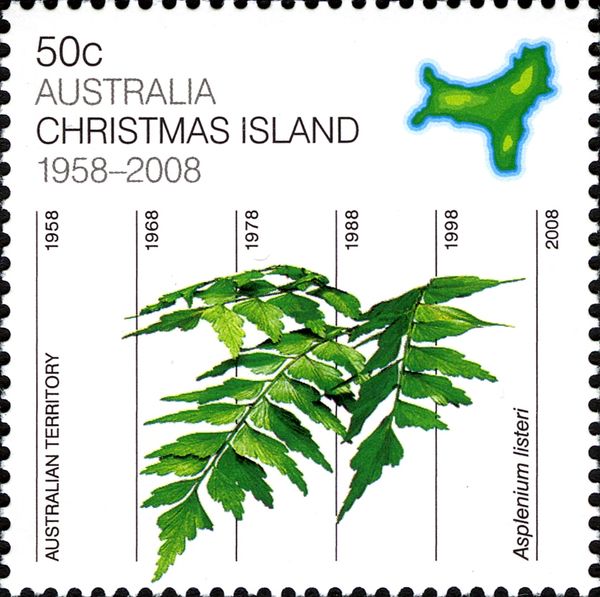 Christmas Island Spleenwort (Asplenium listeri)