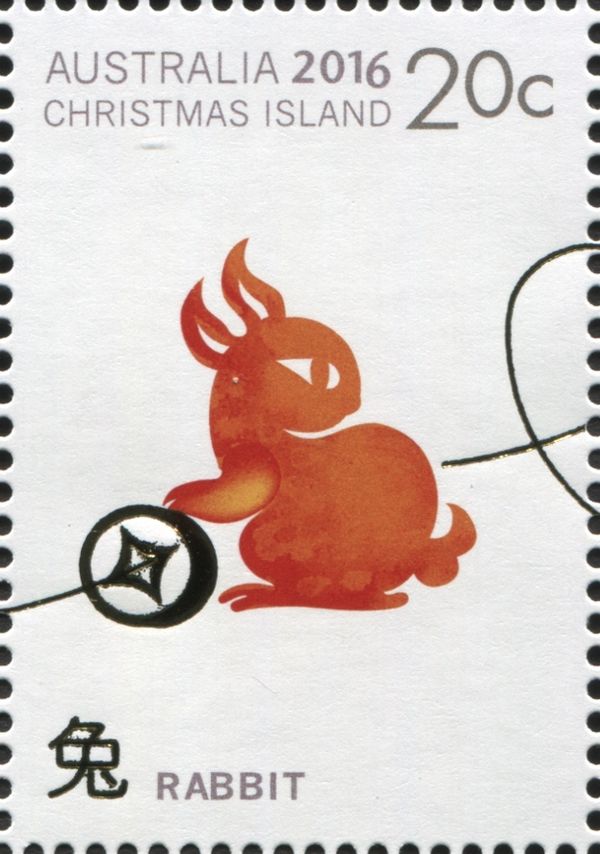 Rabbit