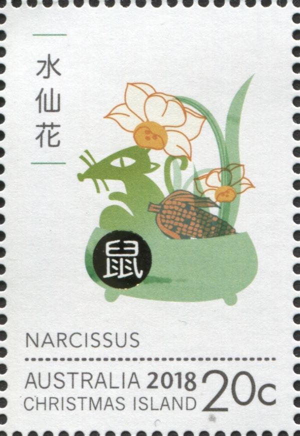 Rat and Narcissus