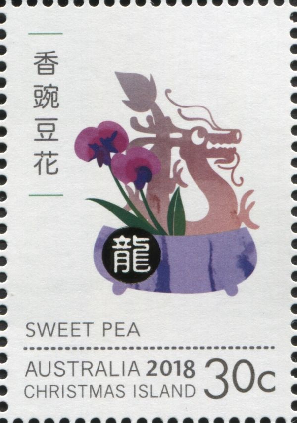 Dragon and Sweet Pea