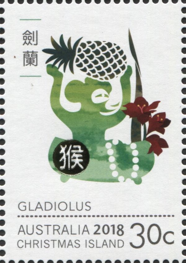 Monkey and Gladiolus