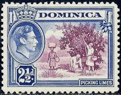 Picking limes