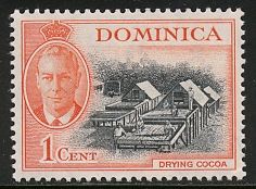 Drying cocoa