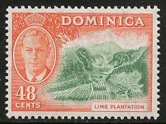 Lime Plantation