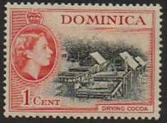 Drying cocoa