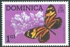 Tropical Milkweed Butterfly (Lycorea ceres)