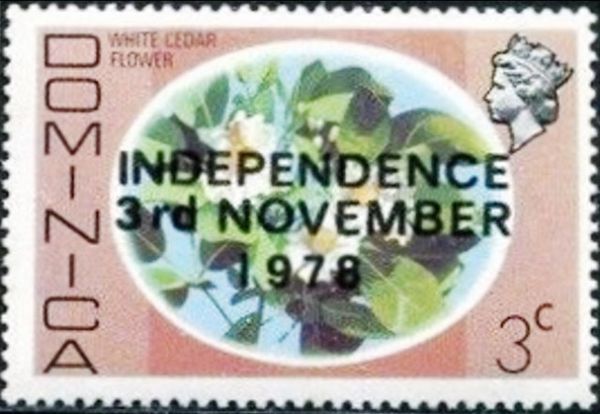 White Cedar flower overprinted