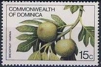 Breadfruit