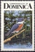 Ringed Kingfisher (Ceryle torquata)