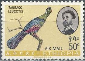 White-cheeked Turaco (Tauraco leucotis)