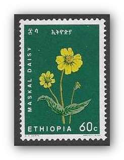 Maskal Daisy (Coreopsis prestinaria)