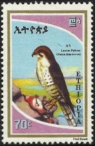 Lanner Falcon (Falco biarmicus)