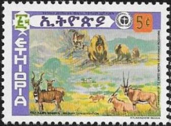 Wildlife conservation