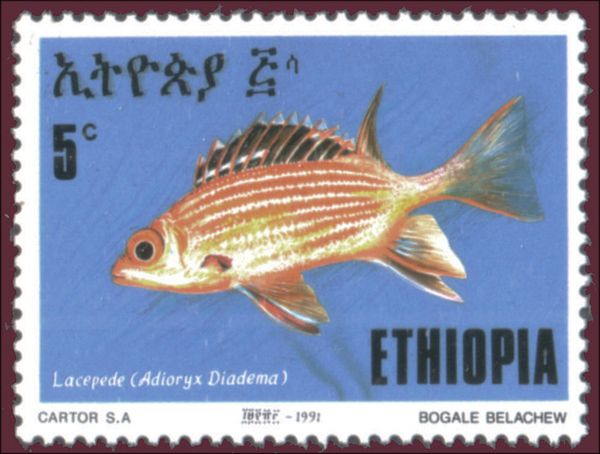 Crowned Squirrelfish (Adioryx diadema)