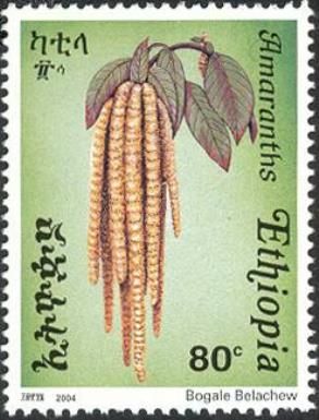 Flora