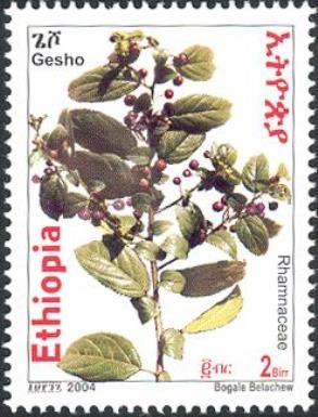 Flora